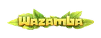 wazamba-pl.net.pl